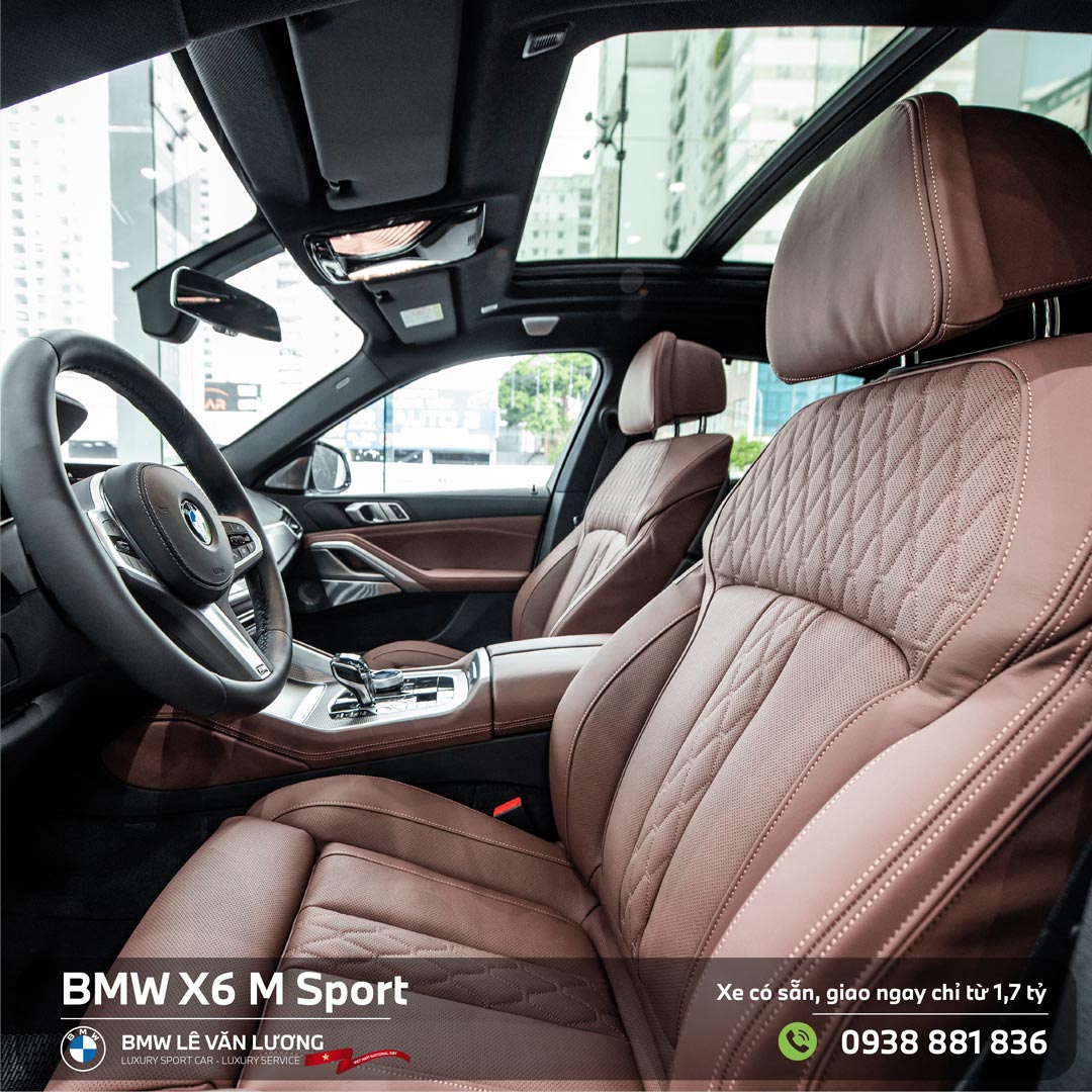 Nội thất BMW X6 